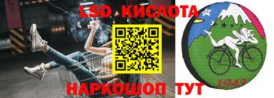 крисы Кунгур