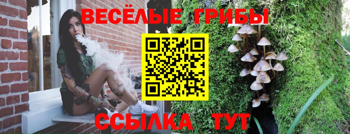 Псилоцибиновые грибы мицелий Дивногорск
