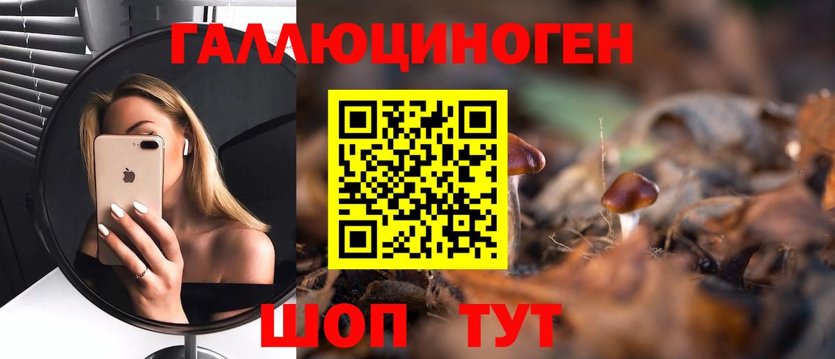Псилоцибиновые грибы GOLDEN TEACHER  Вход с VPN  Дивногорск  Псилоцибиновые грибы мухоморы 
